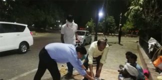 collector distribute food