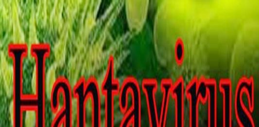 hantavirus हंतावायरस