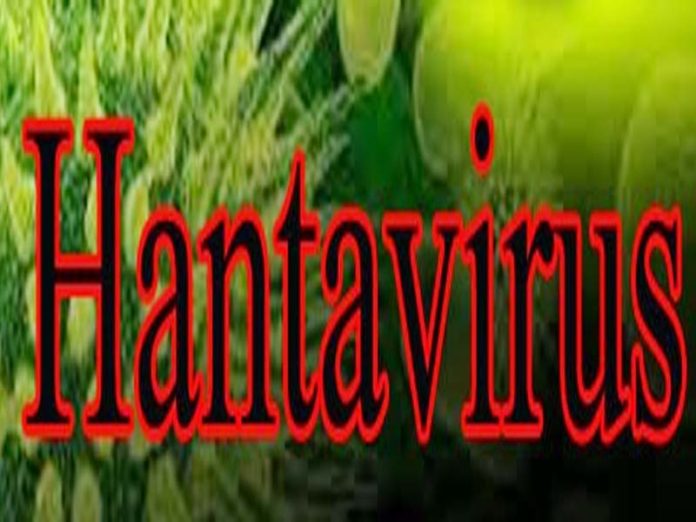 hantavirus हंतावायरस hantavirus हंतावायरस