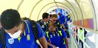 south africa cricket team