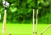 cricket