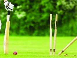 cricket