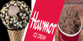 हैवमोर, havmor