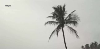 मानसून, monsoon