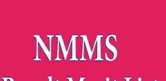 NMMS