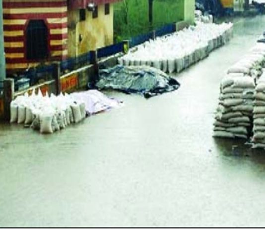 बरसात, barish