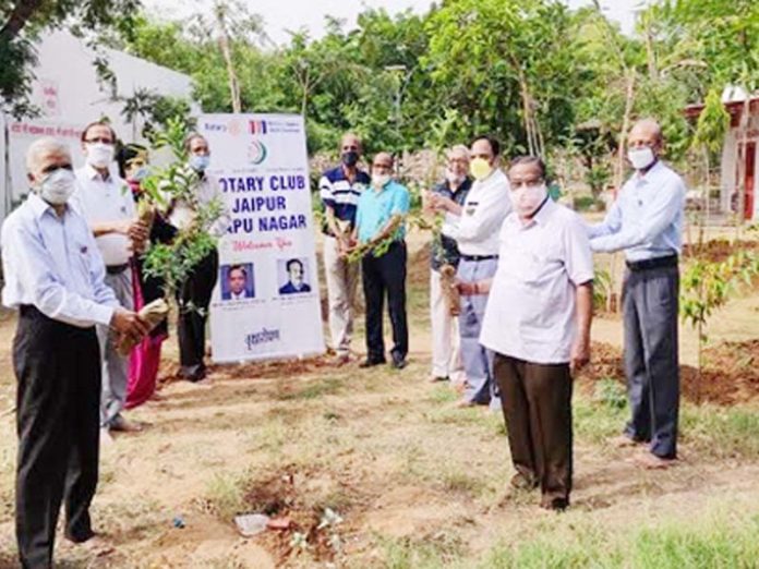 Rotary year inaugurated with plantation and food distribution