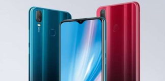 vivo
