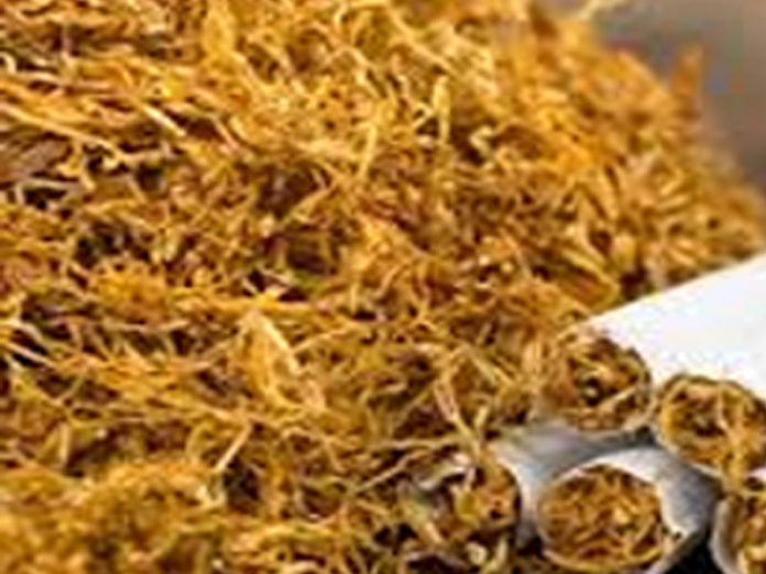tobacco