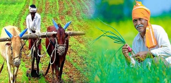 agriculture