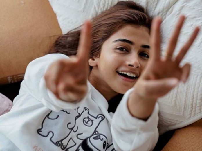 pooja hegde
