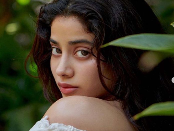 jhanvi kapoor,