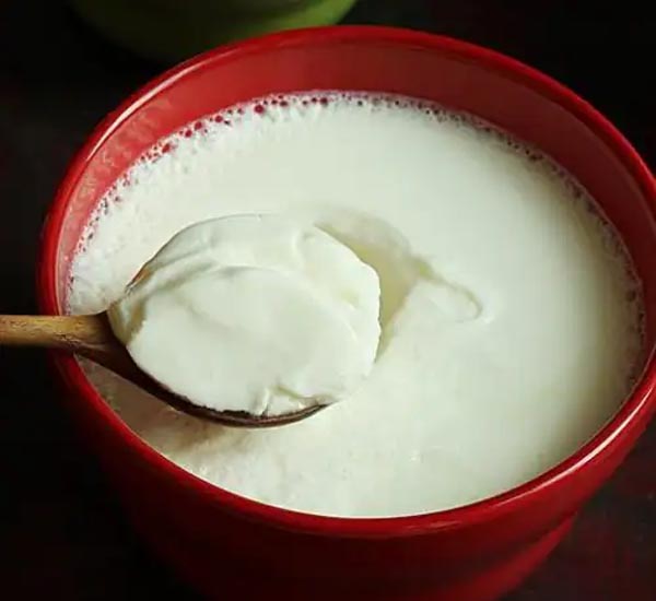 dahi2