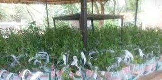 घर-घर औषधि योजना