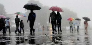 rajasthan rain