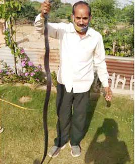 स्नेकमैन विनोद तिवाड़ी स्नेकमैन विनोद तिवाड़ी
