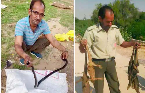 स्नेकमैन विनोद तिवाड़ी