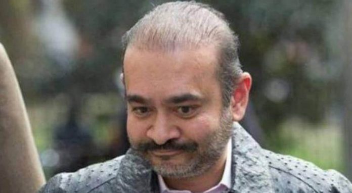 नीरव मोदी नीरव मोदी