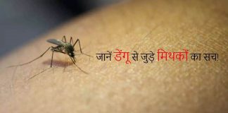 डेंगू
