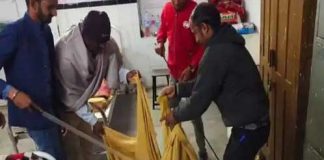 राजस्थान में पागल कुत्ता