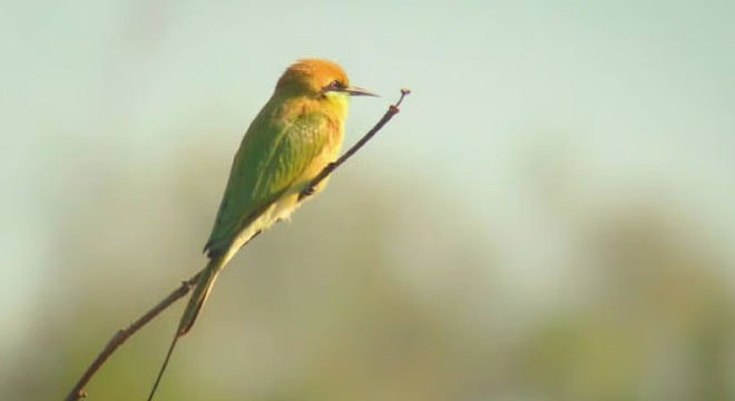 सुबह उठकर क्या करें