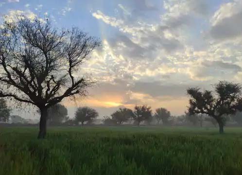 राजस्थान में सर्दी राजस्थान में सर्दी