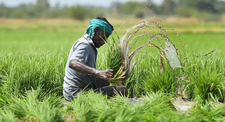 नवलगढ़ विधायक