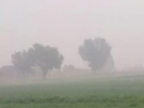 राजस्थान में सर्दी