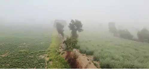 राजस्थान में ठंड