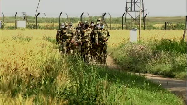 BSF Punjab BSF Punjab