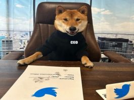 Twitter CEO