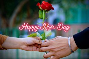 rose day