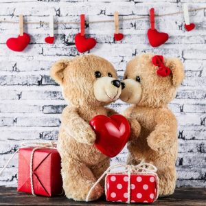 teddy day