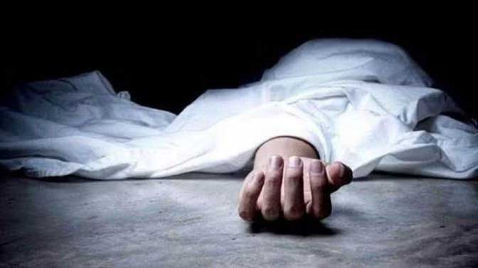 मॉस्किटो क्वॉइल मॉस्किटो क्वॉइल