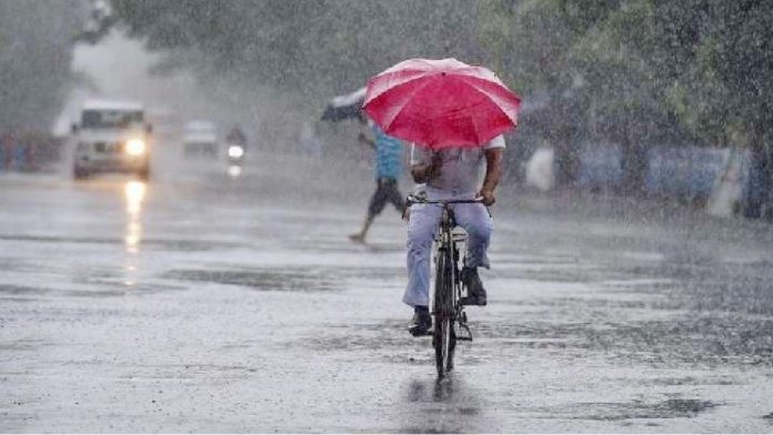 jaipur rain jaipur rain
