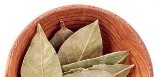तेज पत्तों से टोटका