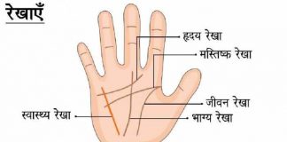 हाथ की रेखाएं