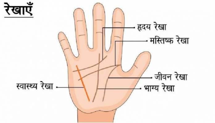 हाथ की रेखाएं हाथ की रेखाएं