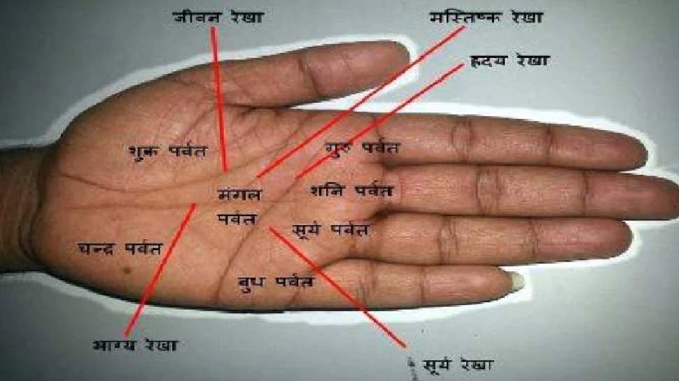 हाथ की रेखाएं