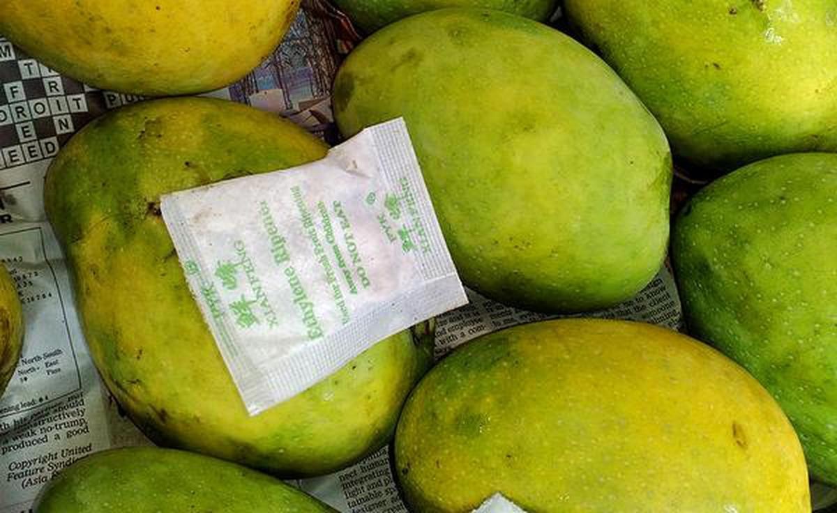 असली-नकली आम की पहचान