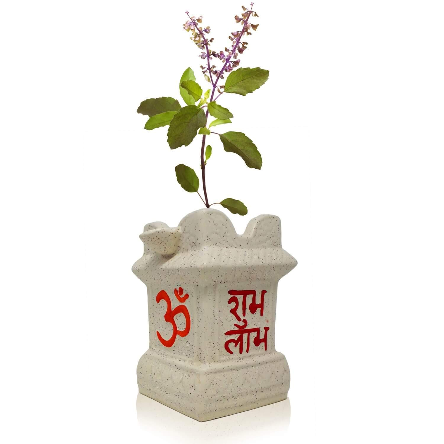 तुलसी