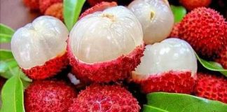 लीची खाने के फायदे