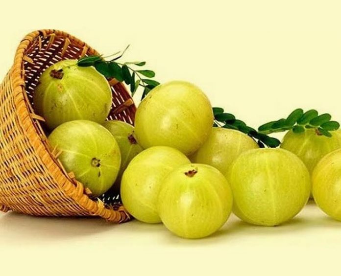 मानसून में इम्युनिटी कैसे बढ़ाएं मानसून में इम्युनिटी कैसे बढ़ाएं