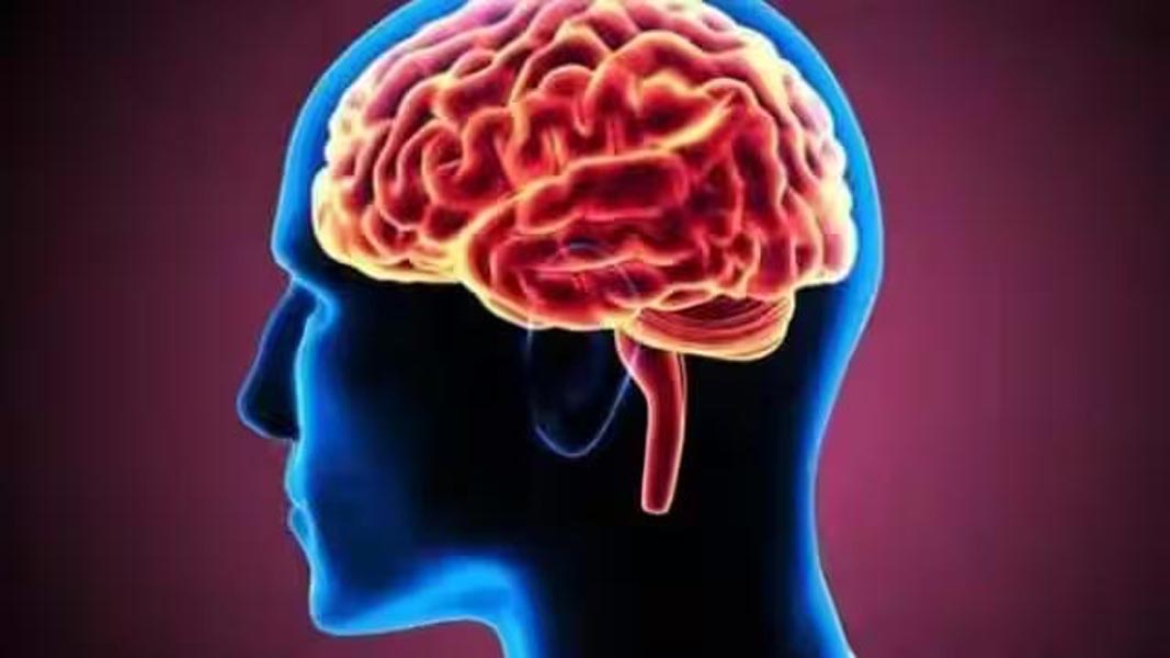 मस्तिष्क के लिए फायदेमंद