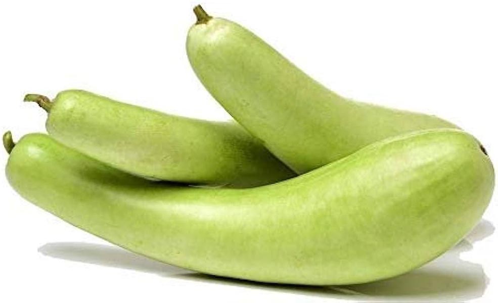लौकी