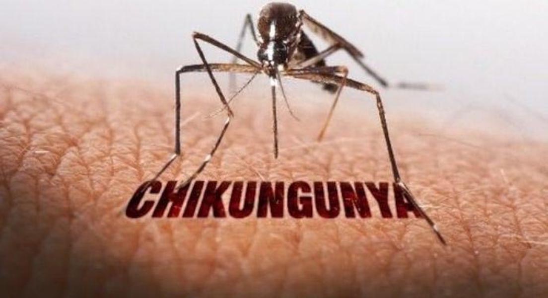 चिकनगुनिया