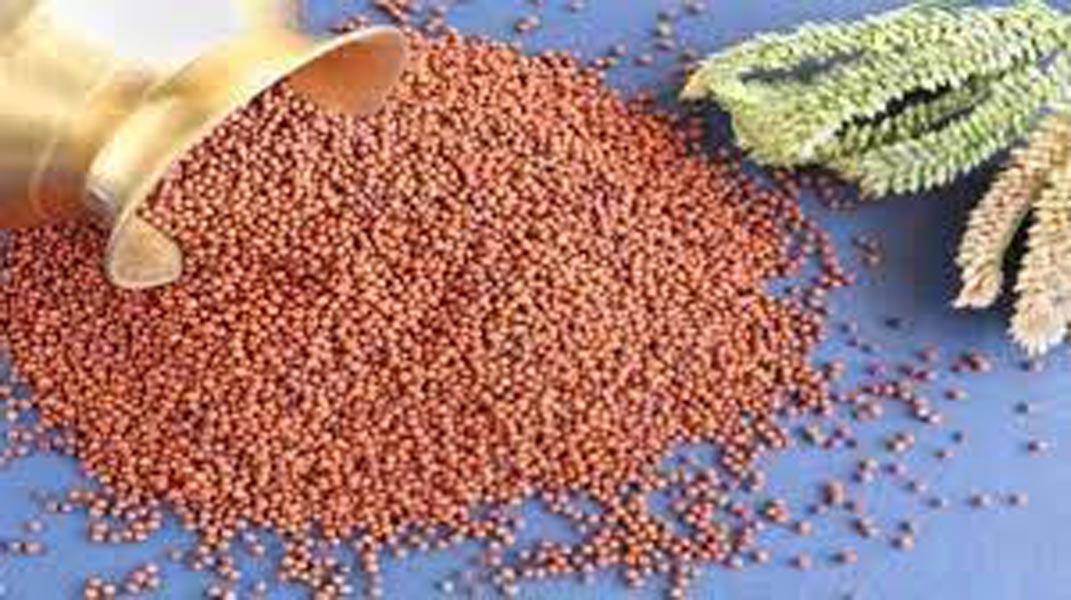 बनाने की विधि