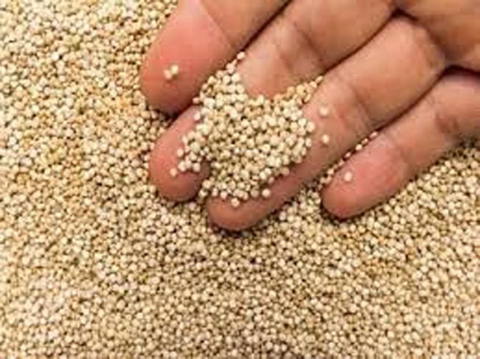 क्विनोआ खाने के फायदे