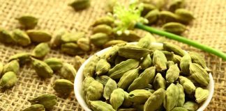 इलायची खाने के फायदे