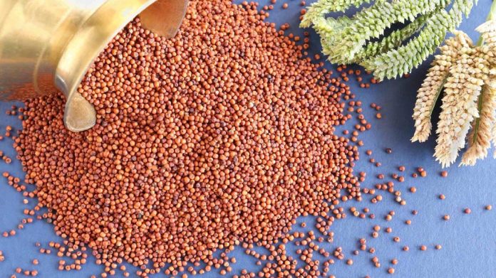 रागी खाने के फायदे रागी खाने के फायदे